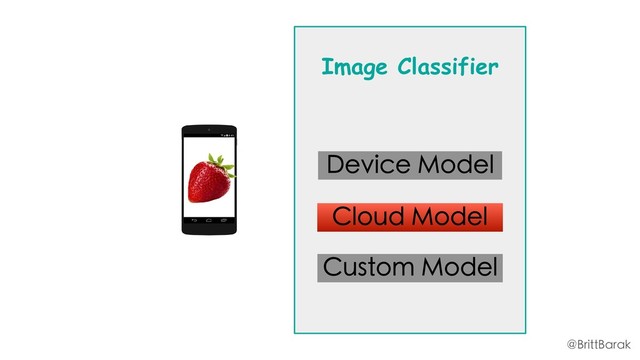 Image Classifier
Device Model
Cloud Model
Custom Model
@BrittBarak
