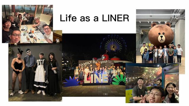 Life as a LINER

