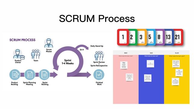 SCRUM Process
