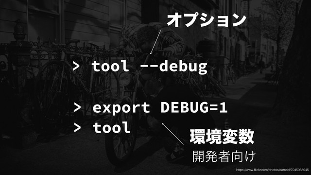> tool --debug
> export DEBUG=1
> tool
Φϓγϣϯ
؀ڥม਺
։ൃऀ޲͚
https://www.ﬂickr.com/photos/damski/7045068945
