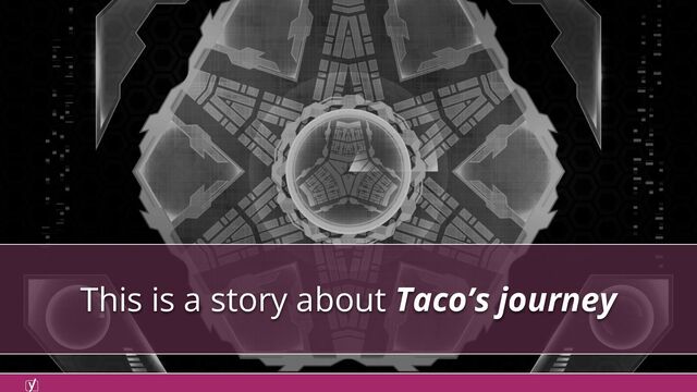 This is a story about Taco’s journey
