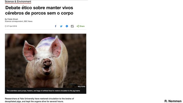 Debate ético sobre manter vivos
cérebros de porcos sem o corpo
R. Nemmen
