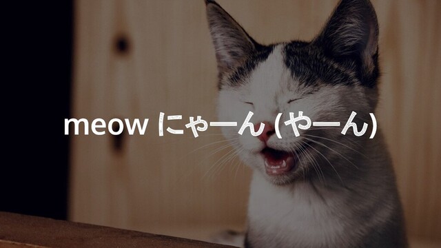 meow にゃーん (やーん)
