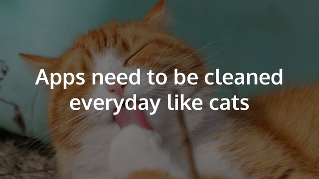 Apps need to be cleaned
everyday like cats
