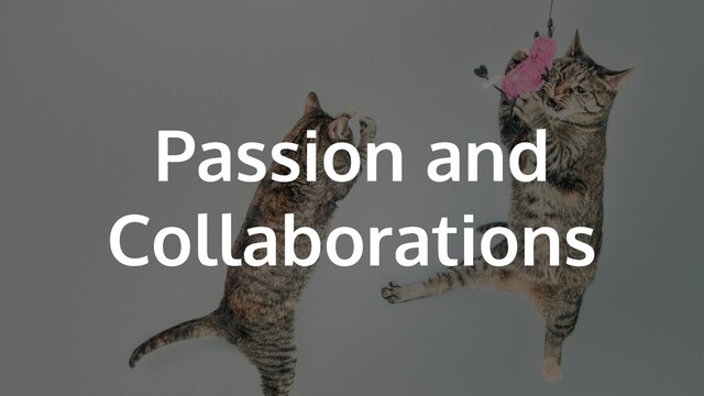 Passion and
Collaborations
