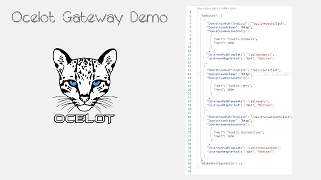 Ocelot Gateway Demo
