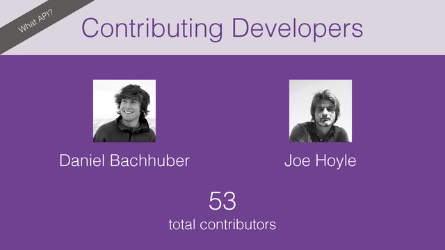 What API?
Contributing Developers
Daniel Bachhuber Joe Hoyle
53
total contributors
