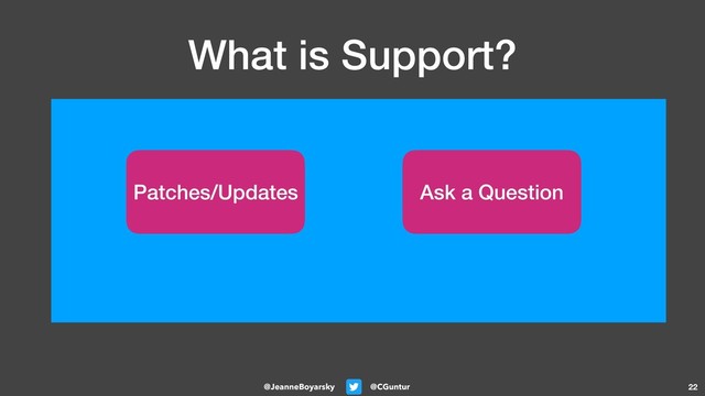 @CGuntur
@JeanneBoyarsky
What is Support?
22
Patches/Updates Ask a Question
