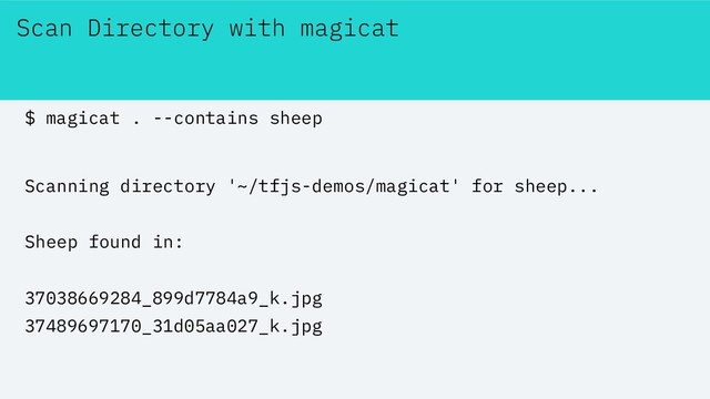Scan Directory with magicat
$ magicat . --contains sheep
Scanning directory '~/tfjs-demos/magicat' for sheep...
Sheep found in:
37038669284_899d7784a9_k.jpg
37489697170_31d05aa027_k.jpg
