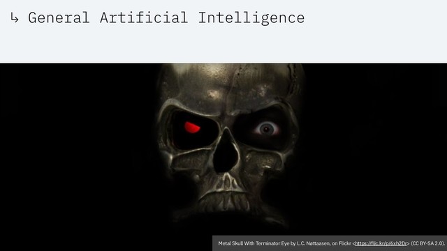 ↳ General Artificial Intelligence
Metal Skull With Terminator Eye by L.C. Nøttaasen, on Flickr  (CC BY-SA 2.0).
