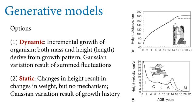 Generative models
Options
(1) Dynamic: Incremental growth of
organism; both mass and height (length)
derive from growth pattern; Gaussian
variation result of summed fluctuations
(2) Static: Changes in height result in
changes in weight, but no mechanism;
Gaussian variation result of growth history
