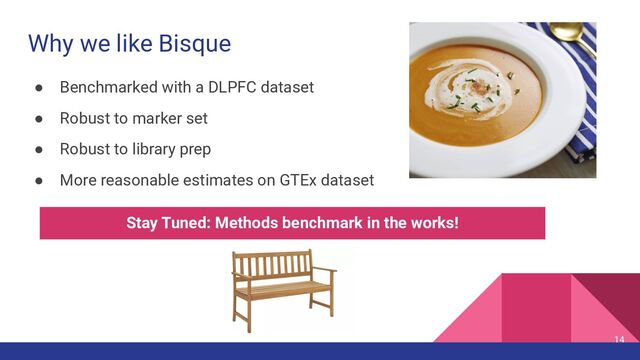 Why we like Bisque
● Benchmarked with a DLPFC dataset
● Robust to marker set
● Robust to library prep
● More reasonable estimates on GTEx dataset
Stay Tuned: Methods benchmark in the works!
14
