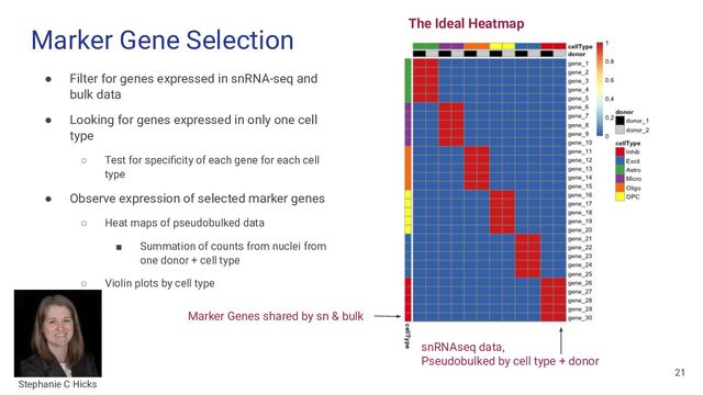 Marker Gene Selection
● Filter for genes expressed in snRNA-seq and
bulk data
● Looking for genes expressed in only one cell
type
○ Test for speciﬁcity of each gene for each cell
type
● Observe expression of selected marker genes
○ Heat maps of pseudobulked data
■ Summation of counts from nuclei from
one donor + cell type
○ Violin plots by cell type
Marker Genes shared by sn & bulk
The Ideal Heatmap
snRNAseq data,
Pseudobulked by cell type + donor
21
Stephanie C Hicks
