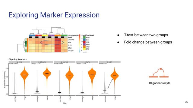 Exploring Marker Expression
● T-test between two groups
● Fold change between groups
22
