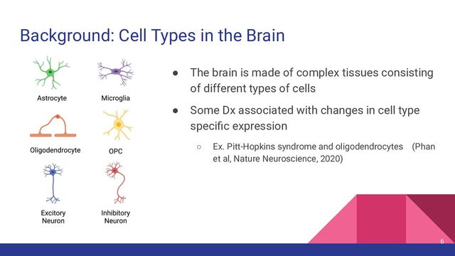 Background: Cell Types in the Brain
● The brain is made of complex tissues consisting
of different types of cells
● Some Dx associated with changes in cell type
speciﬁc expression
○ Ex. Pitt-Hopkins syndrome and oligodendrocytes (Phan
et al, Nature Neuroscience, 2020)
6
