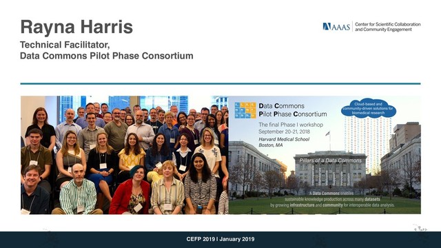 Rayna Harris
Technical Facilitator,
Data Commons Pilot Phase Consortium
CEFP 2019 | January 2019
