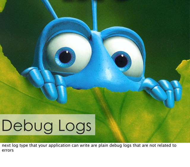 Debug Logs
next log type that your application can write are plain debug logs that are not related to
errors
