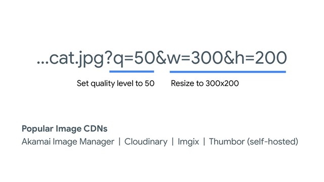 Popular Image CDNs
Akamai Image Manager | Cloudinary | Imgix | Thumbor (self-hosted)
...cat.jpg?q=50&w=300&h=200
Set quality level to 50 Resize to 300x200
