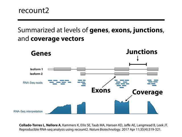 recount2
Junctions
Genes
Coverage
Exons
Summarized at levels of genes, exons, junctions,
and coverage vectors
Collado-Torres L, Nellore A, Kammers K, Ellis SE, Taub MA, Hansen KD, Jaﬀe AE, Langmead B, Leek JT.
Reproducible RNA-seq analysis using recount2. Nature Biotechnology. 2017 Apr 11;35(4):319-321.
