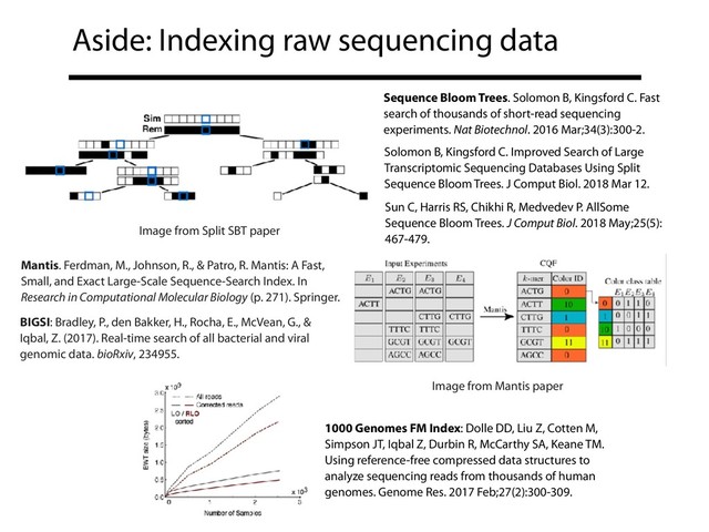 Aside: Indexing raw sequencing data
Mantis. Ferdman, M., Johnson, R., & Patro, R. Mantis: A Fast,
Small, and Exact Large-Scale Sequence-Search Index. In
Research in Computational Molecular Biology (p. 271). Springer.
BIGSI: Bradley, P., den Bakker, H., Rocha, E., McVean, G., &
Iqbal, Z. (2017). Real-time search of all bacterial and viral
genomic data. bioRxiv, 234955.
Image from Mantis paper
Image from Split SBT paper
Sequence Bloom Trees. Solomon B, Kingsford C. Fast
search of thousands of short-read sequencing
experiments. Nat Biotechnol. 2016 Mar;34(3):300-2.
Solomon B, Kingsford C. Improved Search of Large
Transcriptomic Sequencing Databases Using Split
Sequence Bloom Trees. J Comput Biol. 2018 Mar 12.
Sun C, Harris RS, Chikhi R, Medvedev P. AllSome
Sequence Bloom Trees. J Comput Biol. 2018 May;25(5):
467-479.
1000 Genomes FM Index: Dolle DD, Liu Z, Cotten M,
Simpson JT, Iqbal Z, Durbin R, McCarthy SA, Keane TM.
Using reference-free compressed data structures to
analyze sequencing reads from thousands of human
genomes. Genome Res. 2017 Feb;27(2):300-309.
