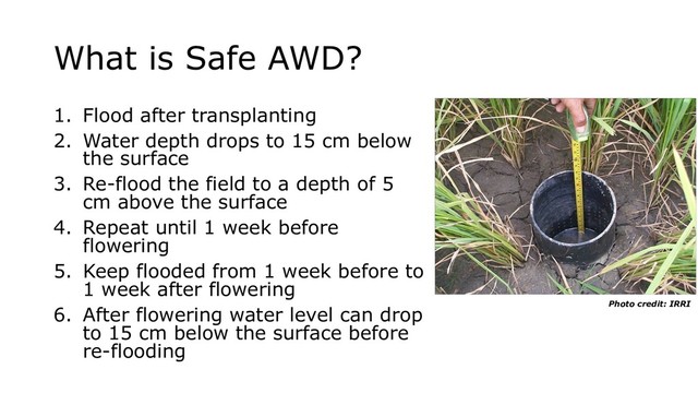 What is Safe AWD?
1. Flood after transplanting
2. Water depth drops to 15 cm below
the surface
3. Re-flood the field to a depth of 5
cm above the surface
4. Repeat until 1 week before
flowering
5. Keep flooded from 1 week before to
1 week after flowering
6. After flowering water level can drop
to 15 cm below the surface before
re-flooding
Photo credit: IRRI
