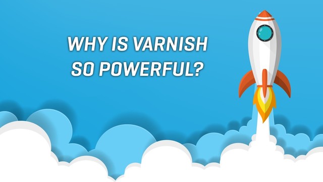 WHY IS VARNISH
SO POWERFUL?
