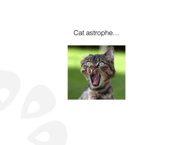 Cat astrophe…
