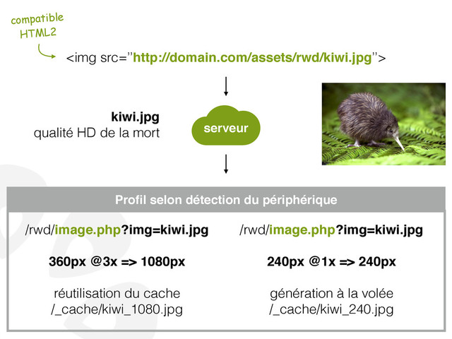 <img src="%E2%80%99%E2%80%99http://domain.com/assets/rwd/kiwi.jpg%E2%80%99%E2%80%99">
serveur
Proﬁl selon détection du périphérique
/rwd/image.php?img=kiwi.jpg!
!
360px @3x => 1080px!
!
réutilisation du cache
/_cache/kiwi_1080.jpg
/rwd/image.php?img=kiwi.jpg!
!
240px @1x => 240px!
!
génération à la volée
/_cache/kiwi_240.jpg
kiwi.jpg!
qualité HD de la mort
compatible
HTML2
