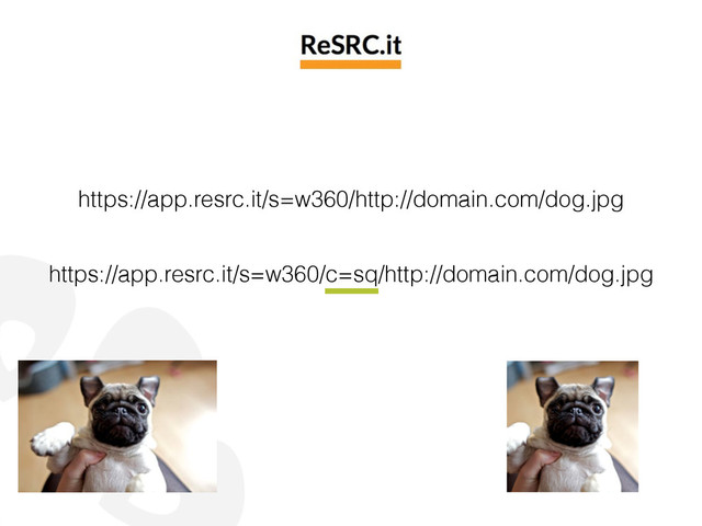 https://app.resrc.it/s=w360/http://domain.com/dog.jpg
https://app.resrc.it/s=w360/c=sq/http://domain.com/dog.jpg
