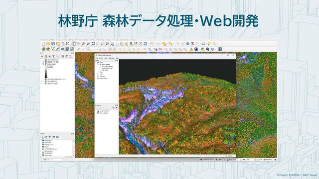 ©Project PLATEAU / MLIT Japan
林野庁 森林データ処理・Web開発
