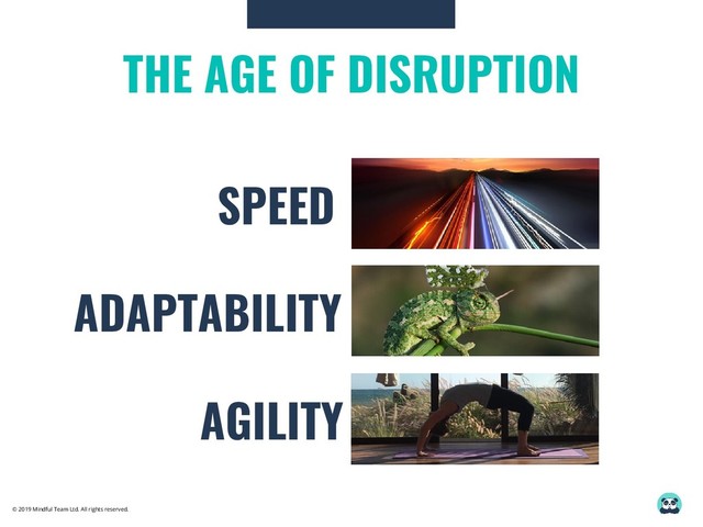 © 2019 Mindful Team Ltd. All rights reserved.
SPEED
ADAPTABILITY
AGILITY
THE AGE OF DISRUPTION
