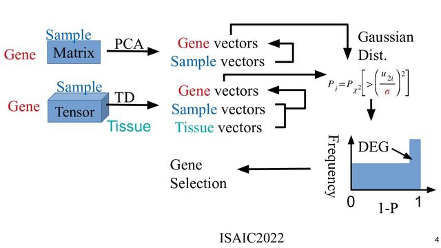 Matrix
Tensor
PCA
TD
Gene vectors
Sample vectors
Gene vectors
Sample vectors
Tissue vectors
Gene
Sample
Gene
Sample
Tissue
Gaussian
Dist.
Frequency
0 1
1-P
DEG
Gene
Selection
ISAIC2022　　　　　　　　　　　　　　　　　　　　　　　　　　　　　
4
