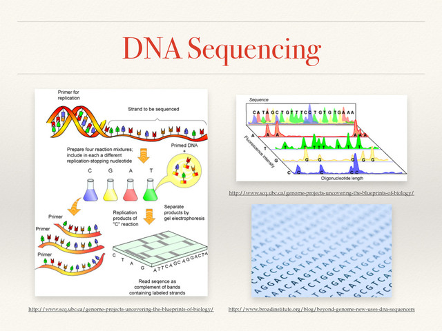 DNA Sequencing
http://www.scq.ubc.ca/genome-projects-uncovering-the-blueprints-of-biology/
http://www.scq.ubc.ca/genome-projects-uncovering-the-blueprints-of-biology/
http://www.broadinstitute.org/blog/beyond-genome-new-uses-dna-sequencers
