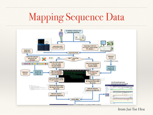 Mapping Sequence Data
from Jui-Tse Hsu
