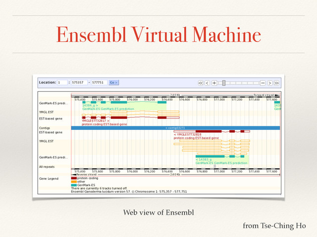 Ensembl Virtual Machine
Web view of Ensembl
from Tse-Ching Ho
