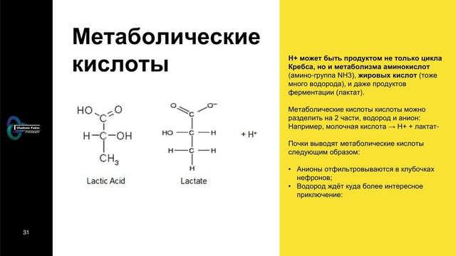 31
Метаболические
кислоты H+ может быть продуктом не только цикла
Кребса, но и метаболизма аминокислот
(амино-группа NH3), жировых кислот (тоже
много водорода), и даже продуктов
ферментации (лактат).
Метаболические кислоты кислоты можно
разделить на 2 части, водород и анион:
Например, молочная кислота → Н+ + лактат-
Почки выводят метаболические кислоты
следующим образом:
• Анионы отфильтровываются в клубочках
нефронов;
• Водород ждёт куда более интересное
приключение:
