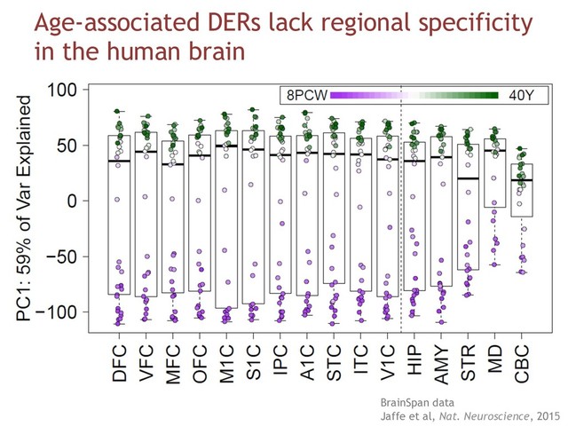 Age-associated DERs lack regional specificity
in the human brain
BrainSpan data
Jaffe et al, Nat. Neuroscience, 2015
