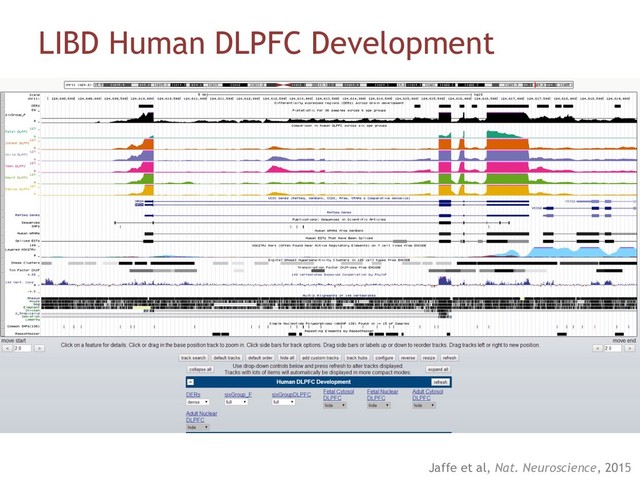LIBD Human DLPFC Development
•  UCSC “Track Hub”
Jaffe et al, Nat. Neuroscience, 2015
