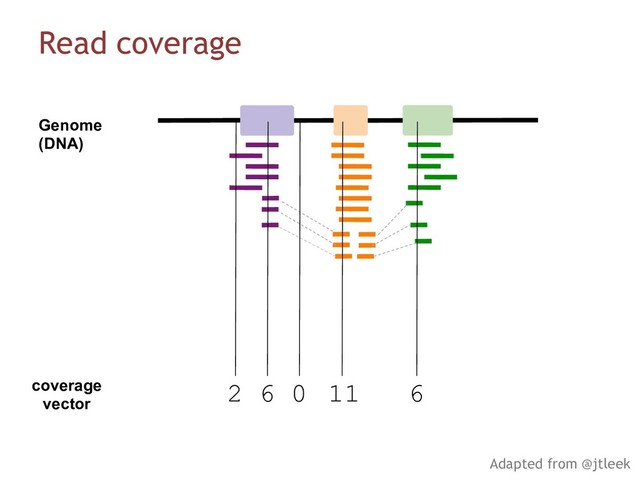coverage
vector
2 6 0 11 6
Genome
(DNA)
Read coverage
Adapted from @jtleek
