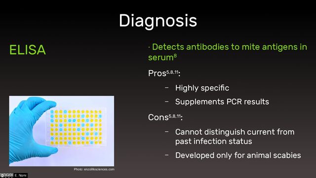 Diagnosis
ELISA
Photo: enzolifesciences.com
∙ Detects antibodies to mite antigens in
serum8
Pros5,8,11:
– Highly specific
– Supplements PCR results
Cons5,8,11:
– Cannot distinguish current from
past infection status
– Developed only for animal scabies
