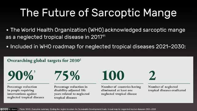 The Future of Sarcoptic Mange
∙ The World Health Organization (WHO) acknowledged sarcoptic mange as
a neglected tropical disease in 201711
∙ Included in WHO roadmap for neglected tropical diseases 2021–2030:
Photo: WHO, Executive summary. Ending the neglect to attain the Sustainable Development Goals: A road map for neglected tropical diseases 2021–2030
