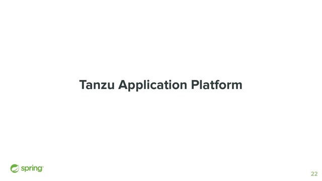 Tanzu Application Platform
22
