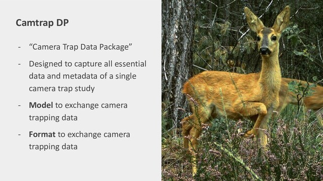 - “Camera Trap Data Package”
- Designed to capture all essential
data and metadata of a single
camera trap study
- Model to exchange camera
trapping data
- Format to exchange camera
trapping data
Camtrap DP
