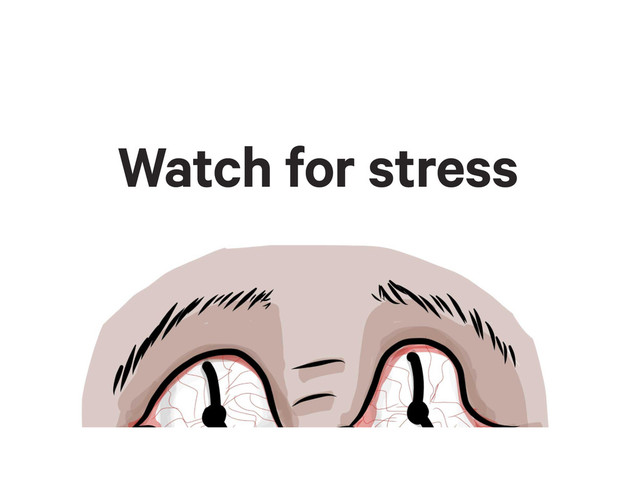 Watch for stress

