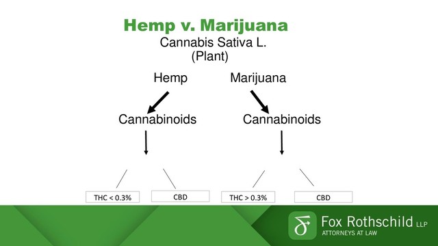 Hemp v. Marijuana
Cannabis Sativa L.
(Plant)
Hemp Marijuana
Cannabinoids Cannabinoids
THC < 0.3% CBD THC > 0.3% CBD
