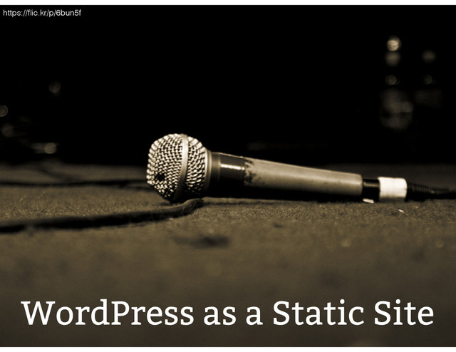 WordPress as a Static Site
https://ﬂic.kr/p/6bun5f
