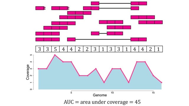 5 10 15
0 1 2 3 4 5
Genome
Coverage
3 3 5 4 4 2 2 3 1 3 3 1 4 4 2 1
AUC = area under coverage = 45
