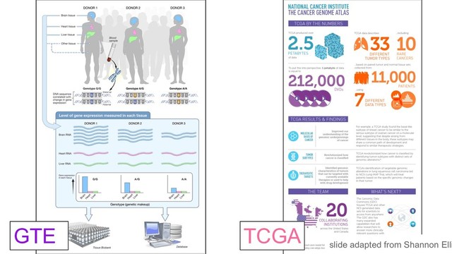 GTE TCGA
slide adapted from Shannon Elli
