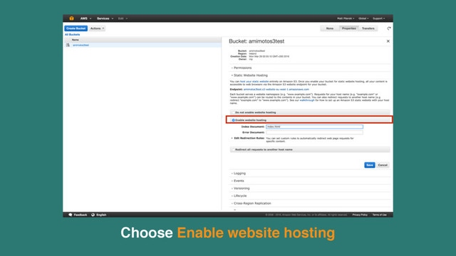 Choose Enable website hosting
