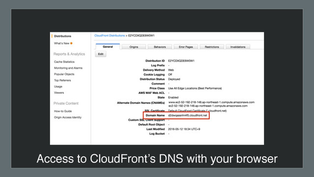 Access to CloudFront’s DNS with your browser
